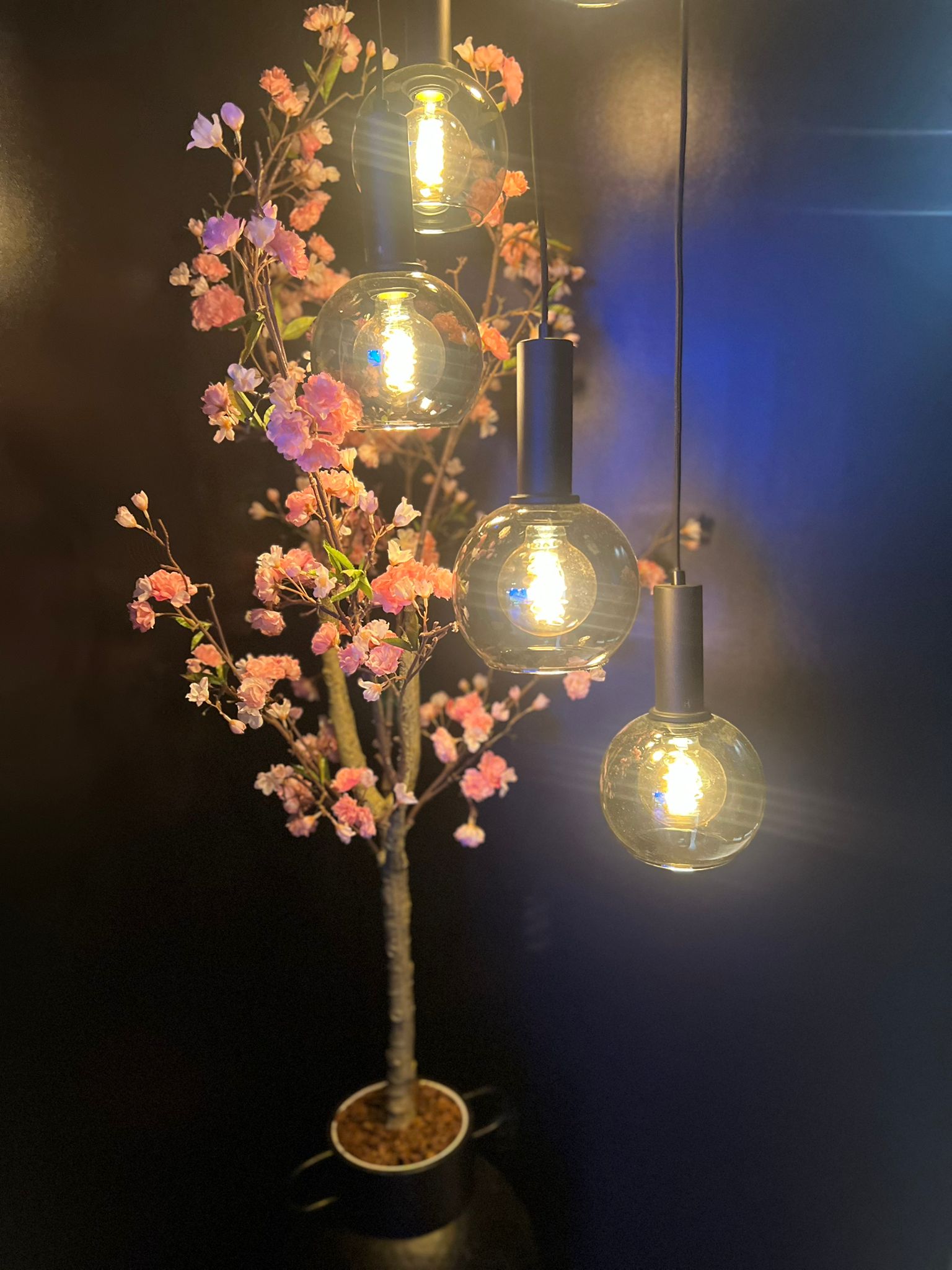 Pendant lighting with decorative feature